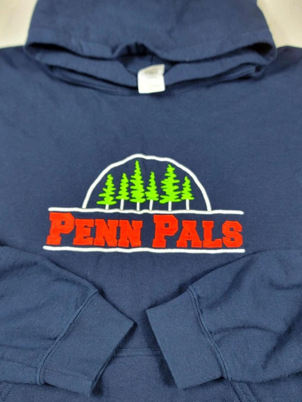 Vintage Y2K Blue Penn State Penn Pals Pullover Hoodie Embroidered Pocket Size L